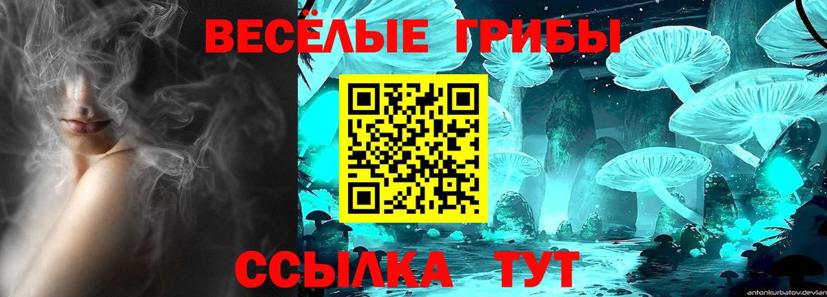 Назрань  Галлюциногенные грибы ЛСД  Галлюциногенные грибы ЛСД  Вход с VPN 