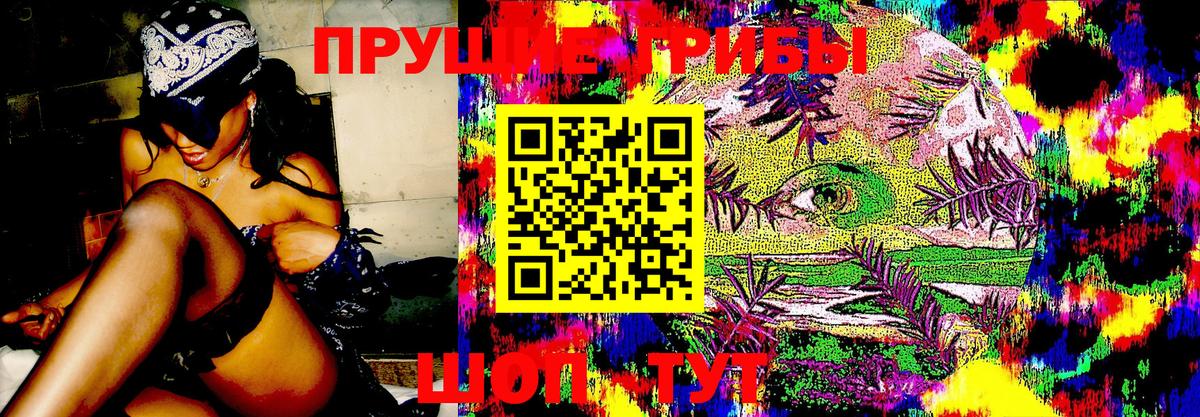 Псилоцибиновые грибы Magic Shrooms Назрань